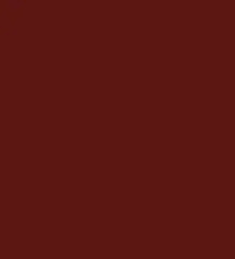 Diseno sin titulo 2026 01 30T122931.205