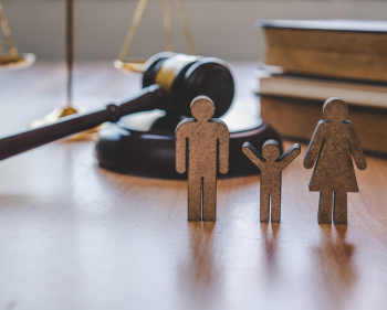 Asesoría en custodia y derecho familiar en México – LEX 9